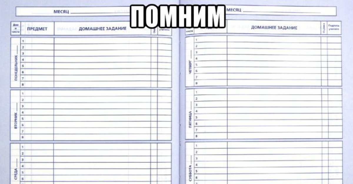 Образец школьного дневника