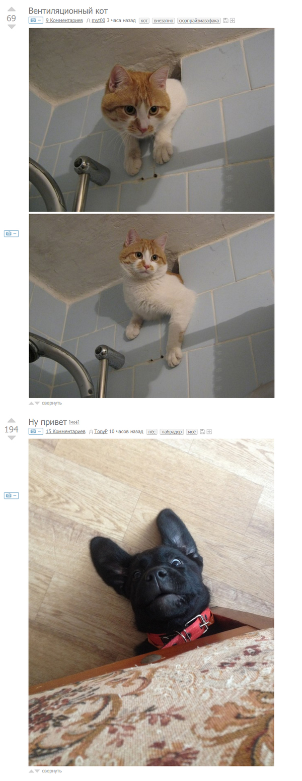 Милое совпадение