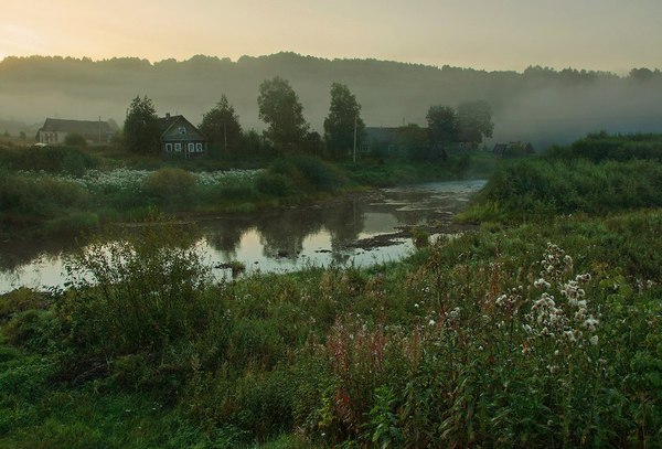 Veps forest - Veps forest, Leningrad region, Russia, Fog, Grace, The photo, Summer, Nature, Longpost