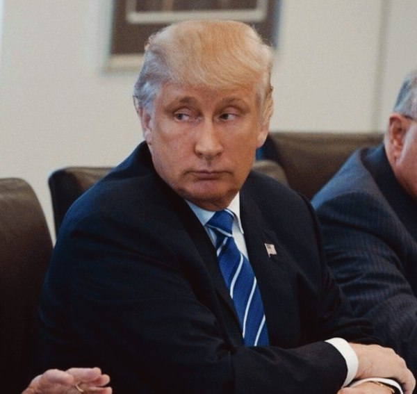 Trutin - , Vladimir Putin, Donald Trump