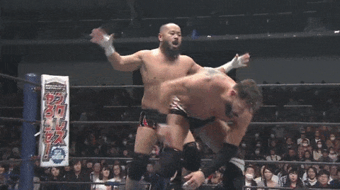 Japanese wrestling - NJPW, Japan, Wrestling, , , , , GIF