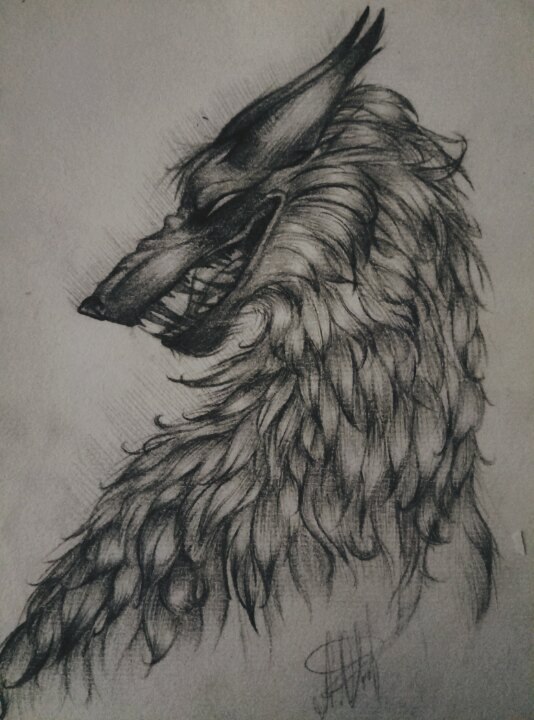 I dug up my creativity among old drawings - My, Drawing, Wolf