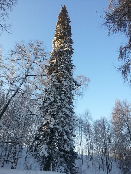 Финляндия. г.Лаппеенранта. - Моё, Лаппеенранта, Финляндия, Граница, Карелия, Север, Путешествия, Отдых, Длиннопост