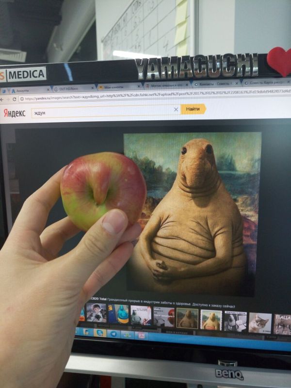 ������ ����� - ������� �� ������ �������� ���������� ������