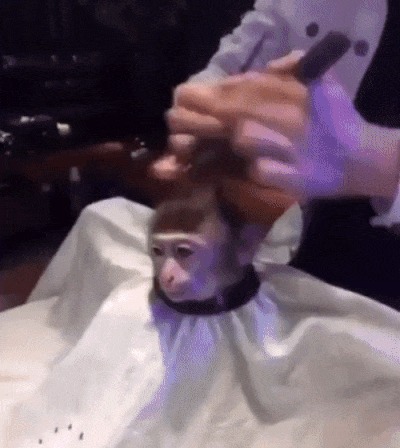 Как вы сказали вас подстричь?
