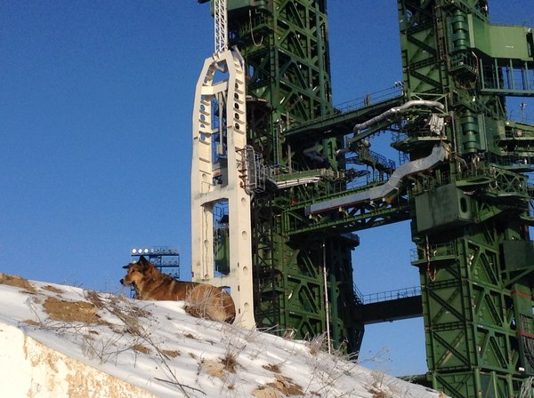 порно видео принудили мальчика лизать порно видео принудили мальчика лизать