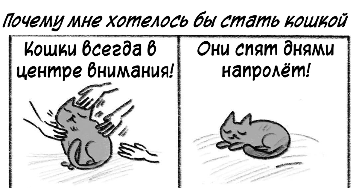 Стань кошкой. Как стать кошкой. Как стать кошкой в домашних условиях. Стати кошки. Заклинание чтобы стать кошкой.