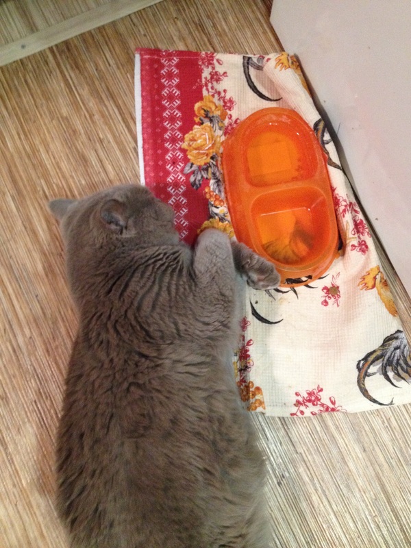 Когда очень хочешь есть, но устал ждать...