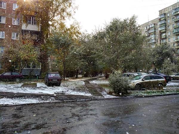 First snow - My, The photo, Autumn, Snow