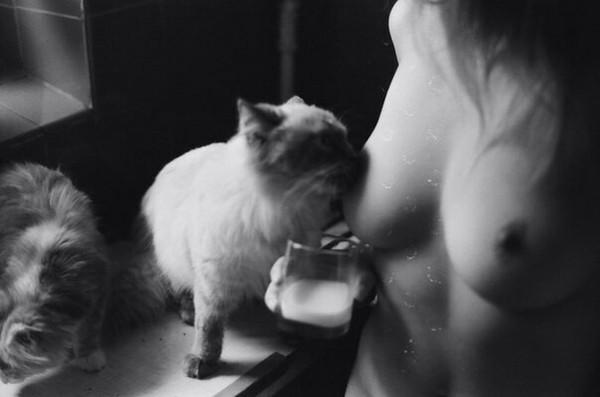 Feed your cats right ladies. - NSFW, Black and white, cat, 