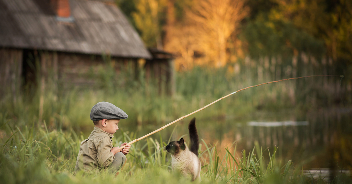 Мальчики на рыбалке. Мальчик на рыбалке. Рыбалка фото. Кот Рыбак. Фотосессия рыбалка дети.