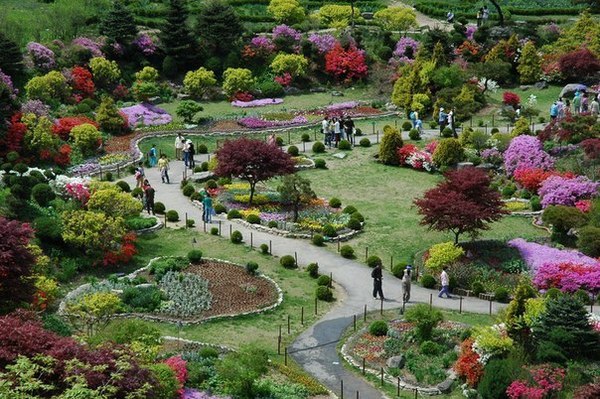 Garden of Morning Calm, South Korea - Travels, Garden, South Korea, Nature, sights, Longpost