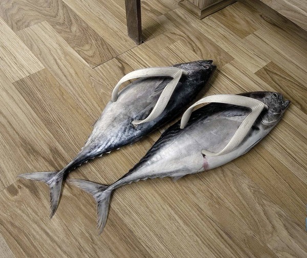 Home... - Slippers, A fish