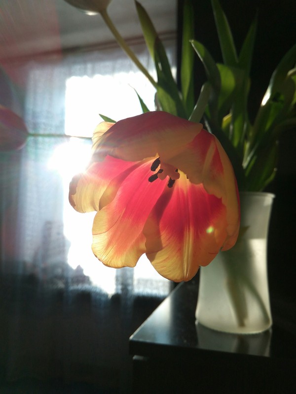 ����� ������ ������!)