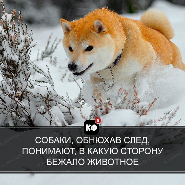 �������� �� ���������� �� ���� ������ ����������