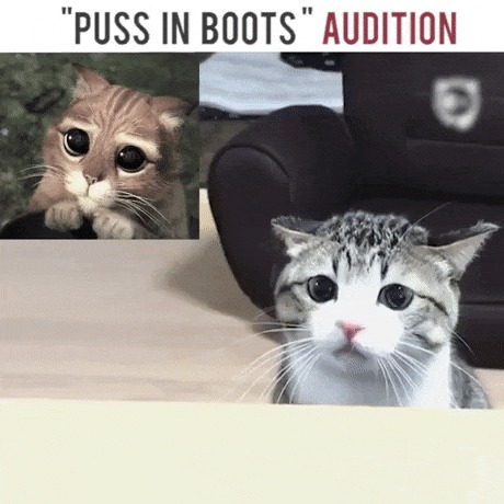 Правильный косплей
