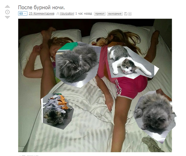 ����� ������ ���� (2)