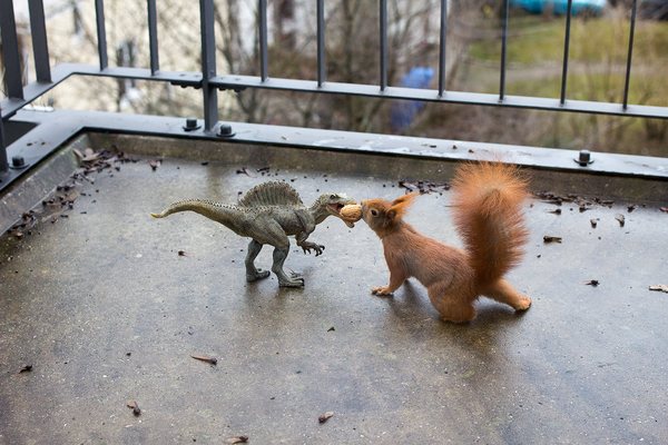 Giant squirrel fights dinosaur - Squirrel, , Dinosaurs, Duel, Nuts