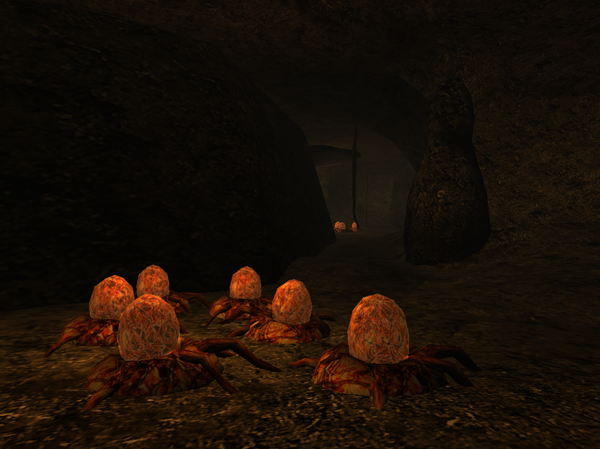   - " ", :   The Elder Scrolls, The Elder Scrolls II: Daggerfall, , , ,  