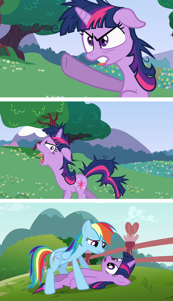     22 My Little Pony, , Twilight Sparkle, Rainbow Dash