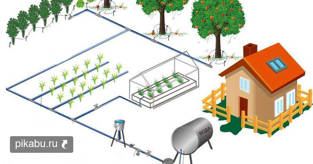 Схема полива дачного участка с накопительной емкостью