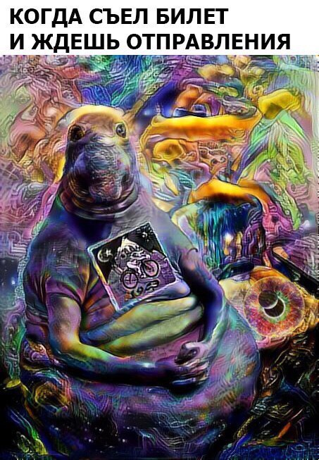 В Нарнию! | Пикабу