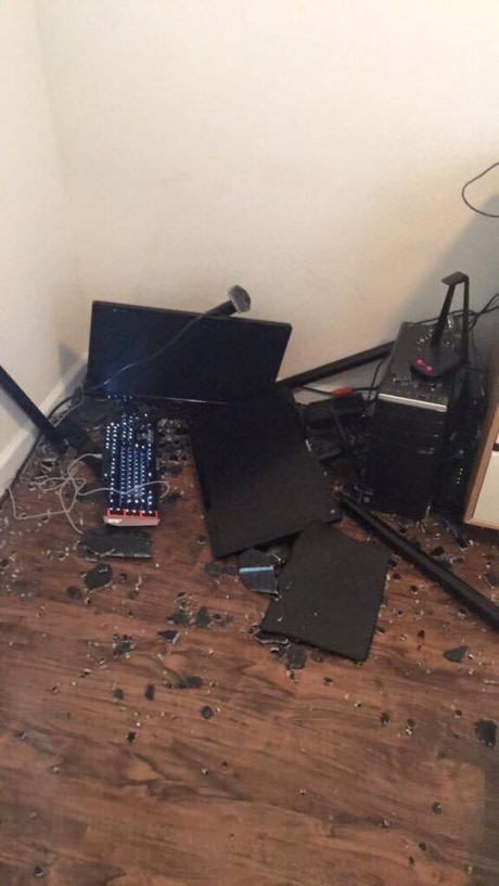 Honey, I just killed a spider - PC, Pain, Gamers, Do not do like this, Computer