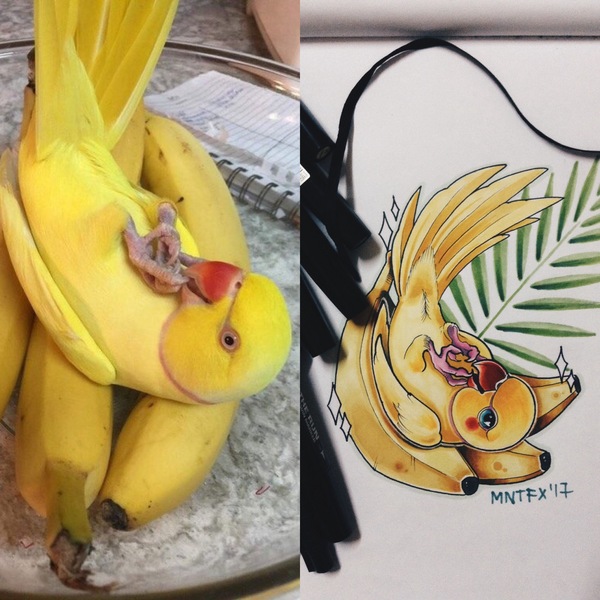 When I fell in love with a picture with Peekaboo :) - My, Drawing, Creation, Art, A parrot, Banana