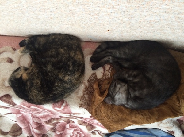 ���� � ����