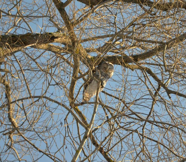 Когда просят выйти на работу в выходной день