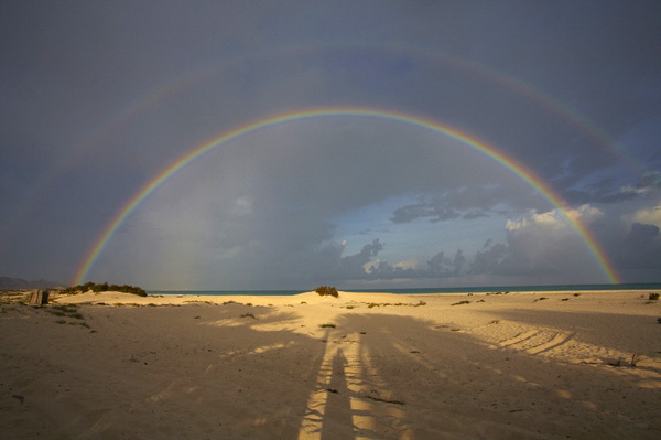 Rainbow