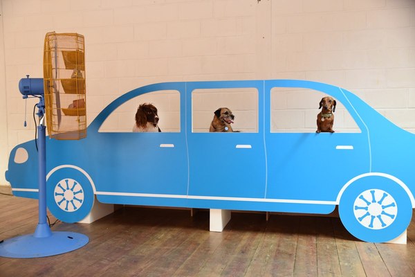 � ����� ��� �����.