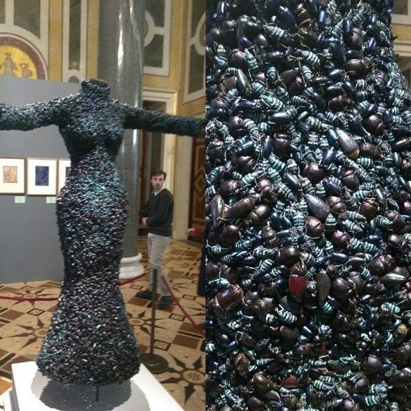 Beetle dress - Exhibition, Exhibit, Жуки, The dress, Hermitage