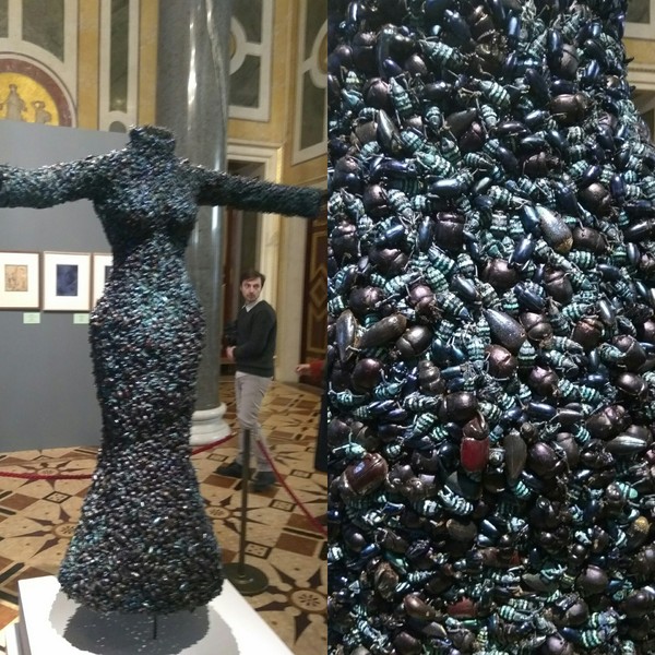 Beetle dress - Hermitage, The dress, Жуки, Exhibit, Exhibition