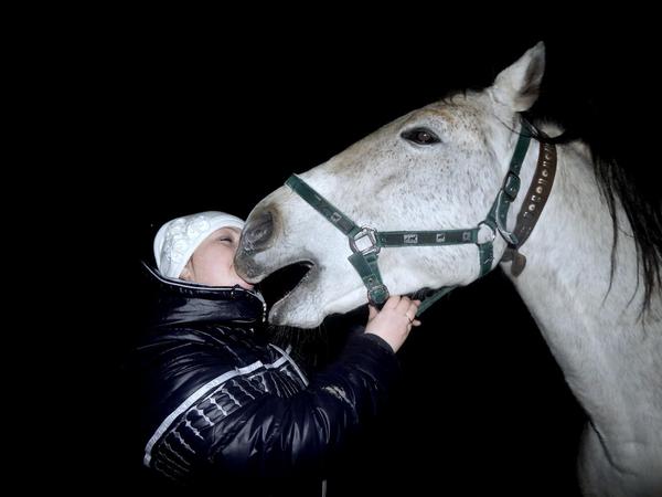 Let me kiss. - Equestrian Club, Horses, Kiss, Girls