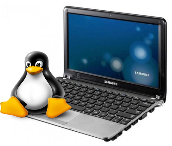 Which Linux distribution to put on a netbook following the example of Samsung NC210 - My, Windows, Windows 7, Samsung, Netbook, Ubuntu, Linux