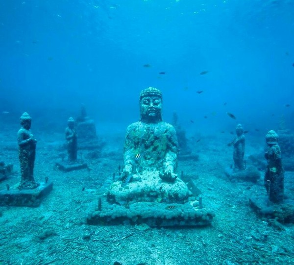 Buddha statue underwater - The photo, Nature, Buddha, Sea, The statue, Water, Ocean, Sculpture