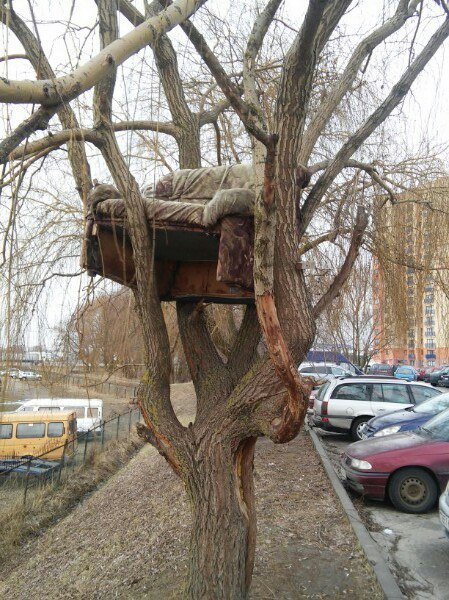 When I moved out from my parents - My, Parents, moved out, Tree house
