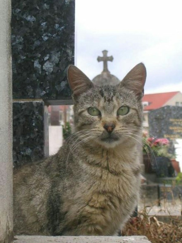 ������� ������ � �