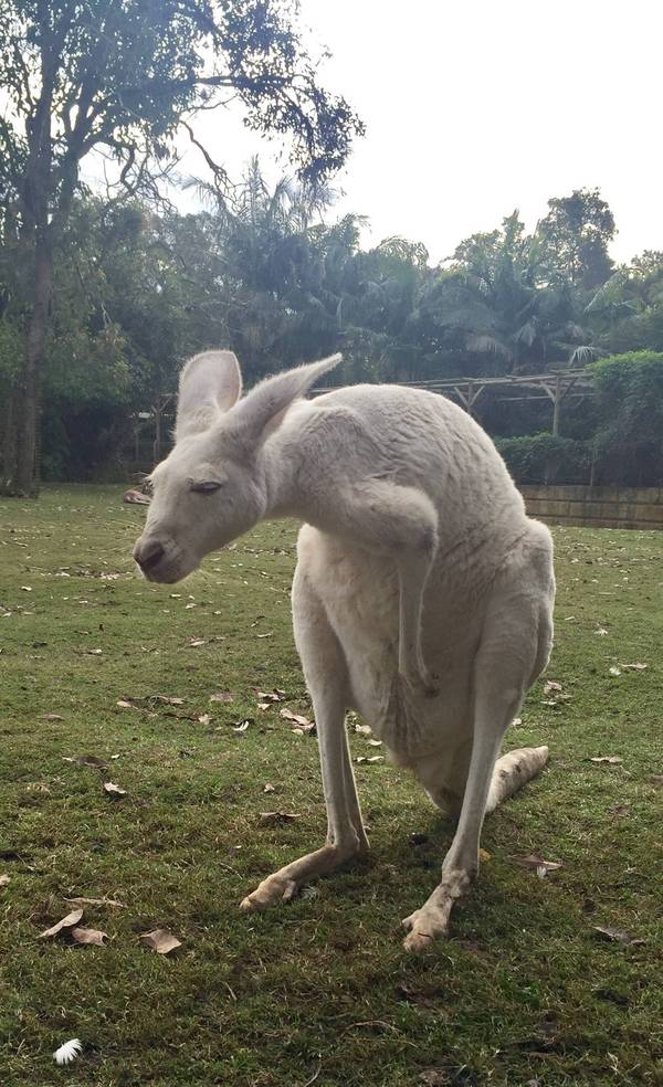 -        &quot; &quot;  