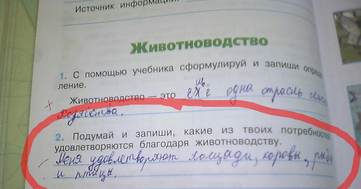 Подумайте и запишите. Подумай и запиши. Подумай и запиши какие из твоих потребностей. Какие потребности удовлетворяются благодаря растениеводству. Какие потребности удовлетворяются благодаря животноводству.