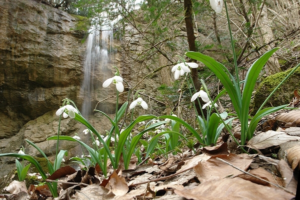 Spring in Crimea is gorgeous :) - Spring, Crimea, Nature, Flowers, Waterfall, Happiness