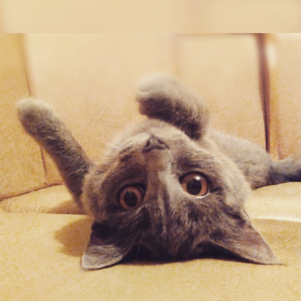 � ���� �����!