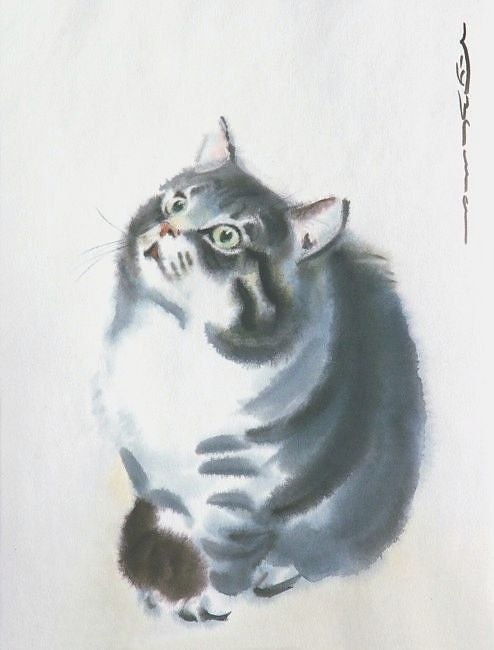 Author: Kuzema Konstantin Stanislavovich - cat, Petersburg cats