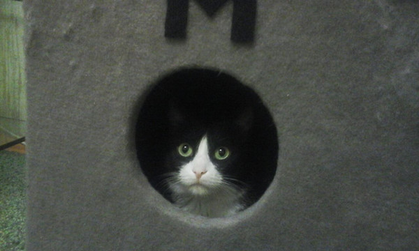 ��������� �� ��������  ����� .