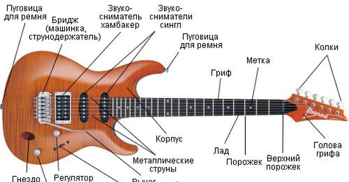 Гитара полный разбор. Строение электро бас гитары. Устройство гитарного бриджа. Строение бриджа электрогитары. Строение гитары электро.