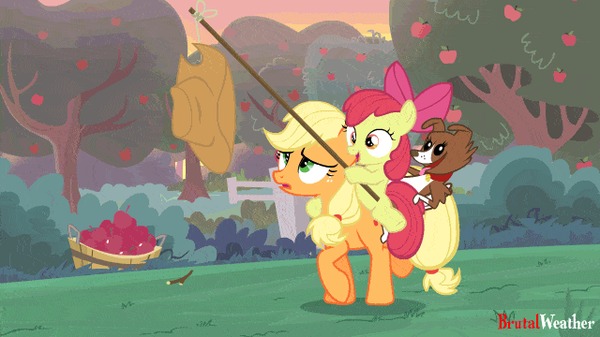 Who's a silly pony? My Little Pony, Applejack, Applebloom, Winona, , Brutalweather