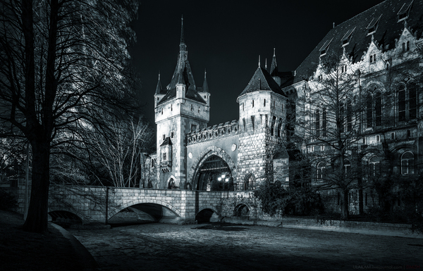 Night at the castle. - My, Night, Architecture, Lock, Bridge, Tower, Budapest, Hungary, Black and white