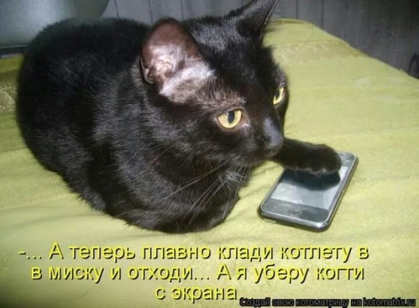 I have your iPhone hostage! - Picture with text, cat, Telephone, Cutlets