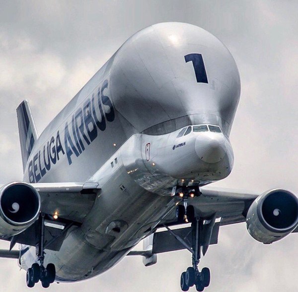 Gorbach - Airbus, Airplane, The photo, Airbus Beluga